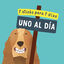 7 sticks EdgardyCooper Snacks Dentários Maçã e Eucalipto para cães de raça pequena, , large Indicador imagem número 5